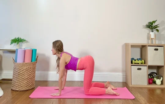 Mobility Exercises