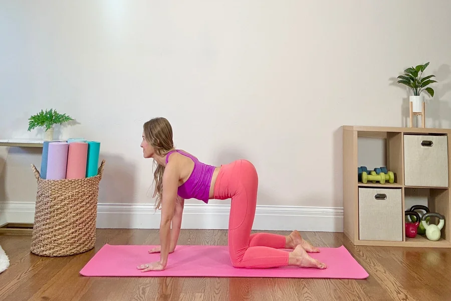 Mobility Exercises